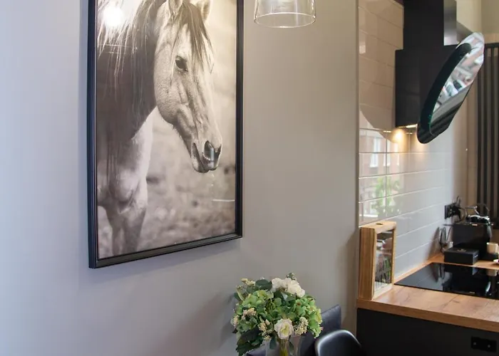 Maya's Flats & 60 - Bridge Apartment *